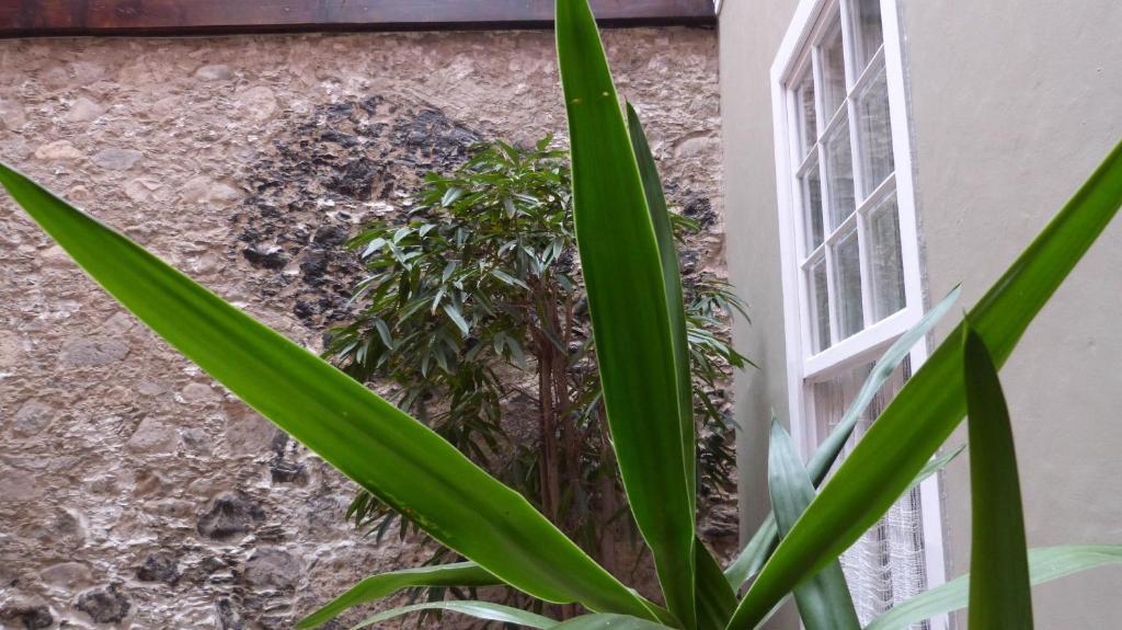 Appartement La Casa De Vegueta à Las Palmas de Gran Canaria Extérieur photo
